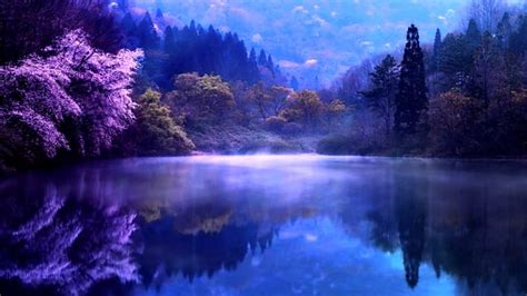 pixabay video.